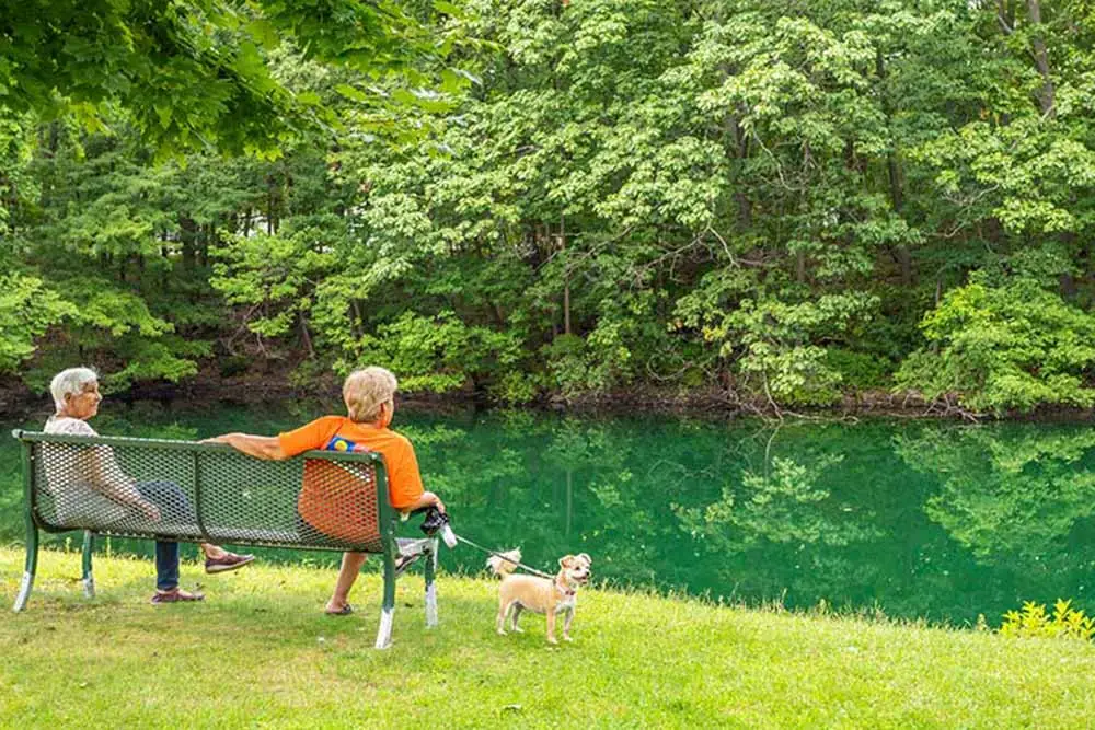 fishing-pondx1000